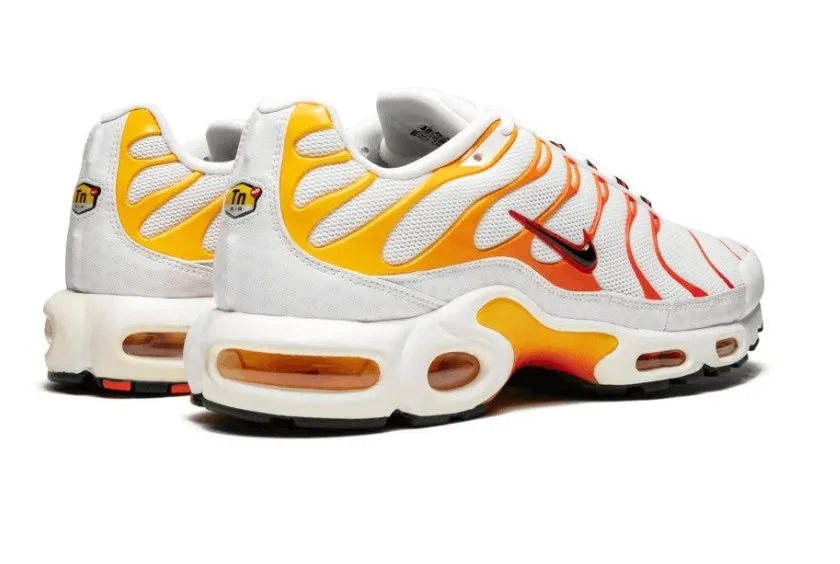 Baskets Nike Air Max Plus Tn Sunburn (2014)