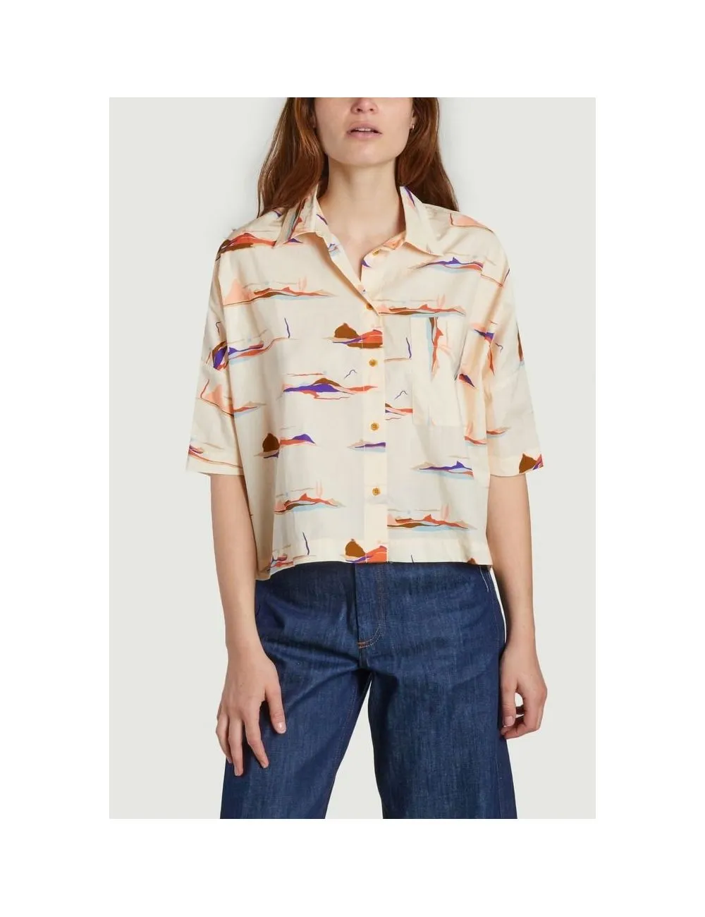 Chemise Vildan