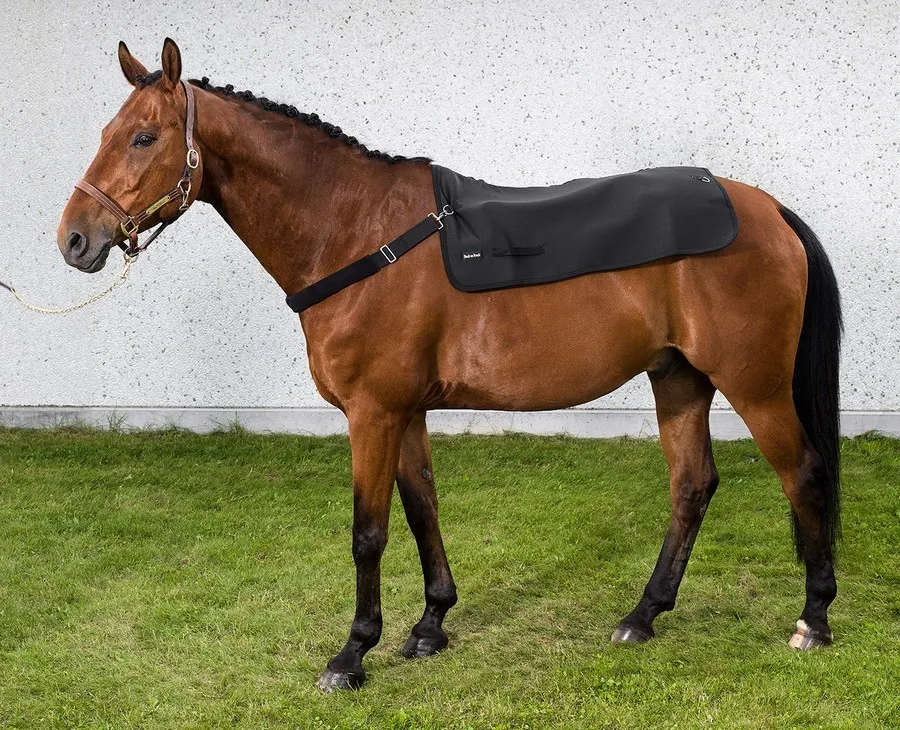 Collier pour chauffe dos cheval Back Warmer ou Royal