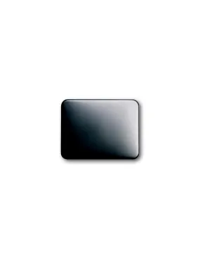 Enjoliveur Pour Thermostat D'Ambiance Accès Protégé Platine 2CKA006599A1466 ABB 585336