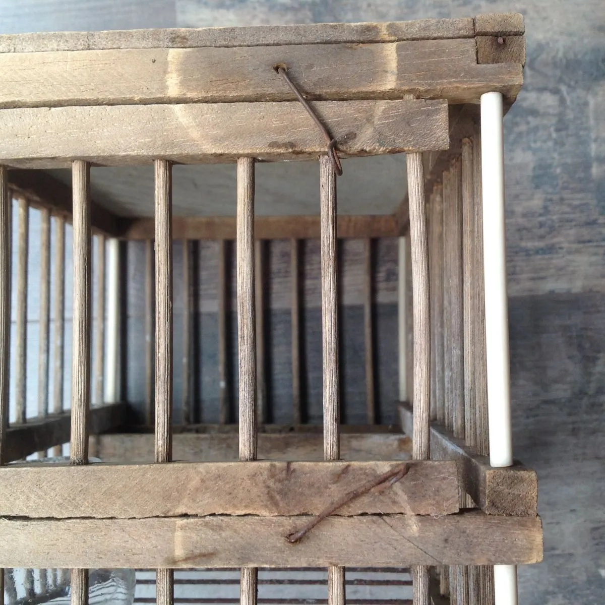 Petite cage de transport