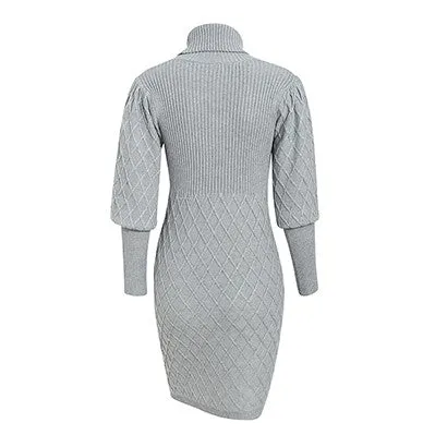 Robe-Pull Col Roulé Moulante Gris