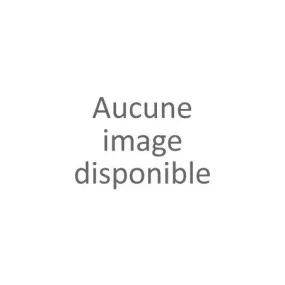 T-shirt grande taille mandarine homme